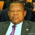 Mende Omalanga Lambert - Ministre de la communication et porte-parole du gouvernement